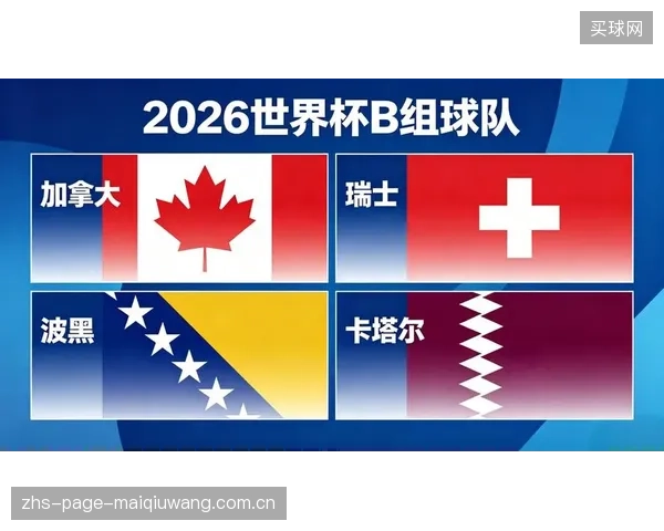 加拿大队所在的B组实力平均，球队若想从瑞士、卡塔尔和波黑中突围，必须发挥稳定。